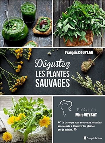 Déguster les plantes sauvages