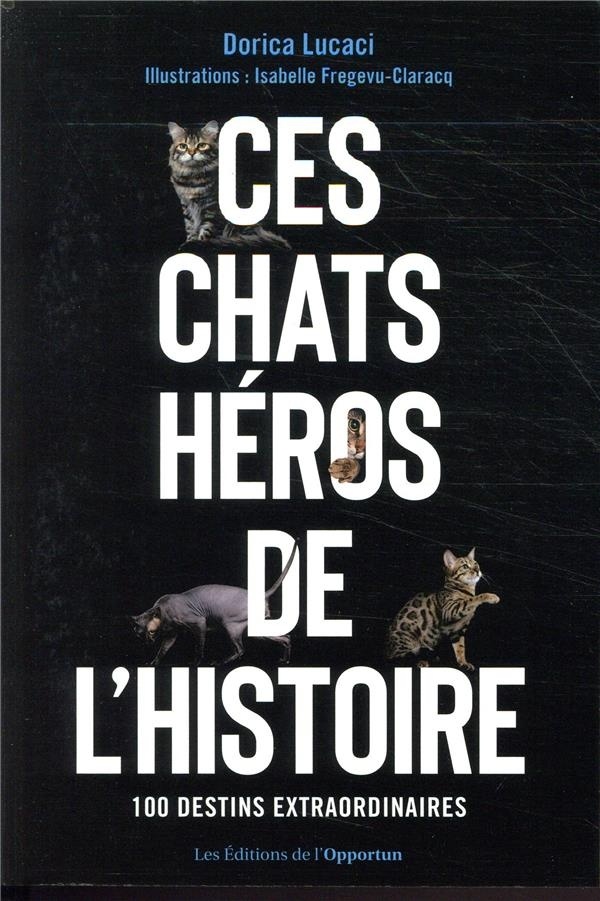 Ces chats héros de l'histoire