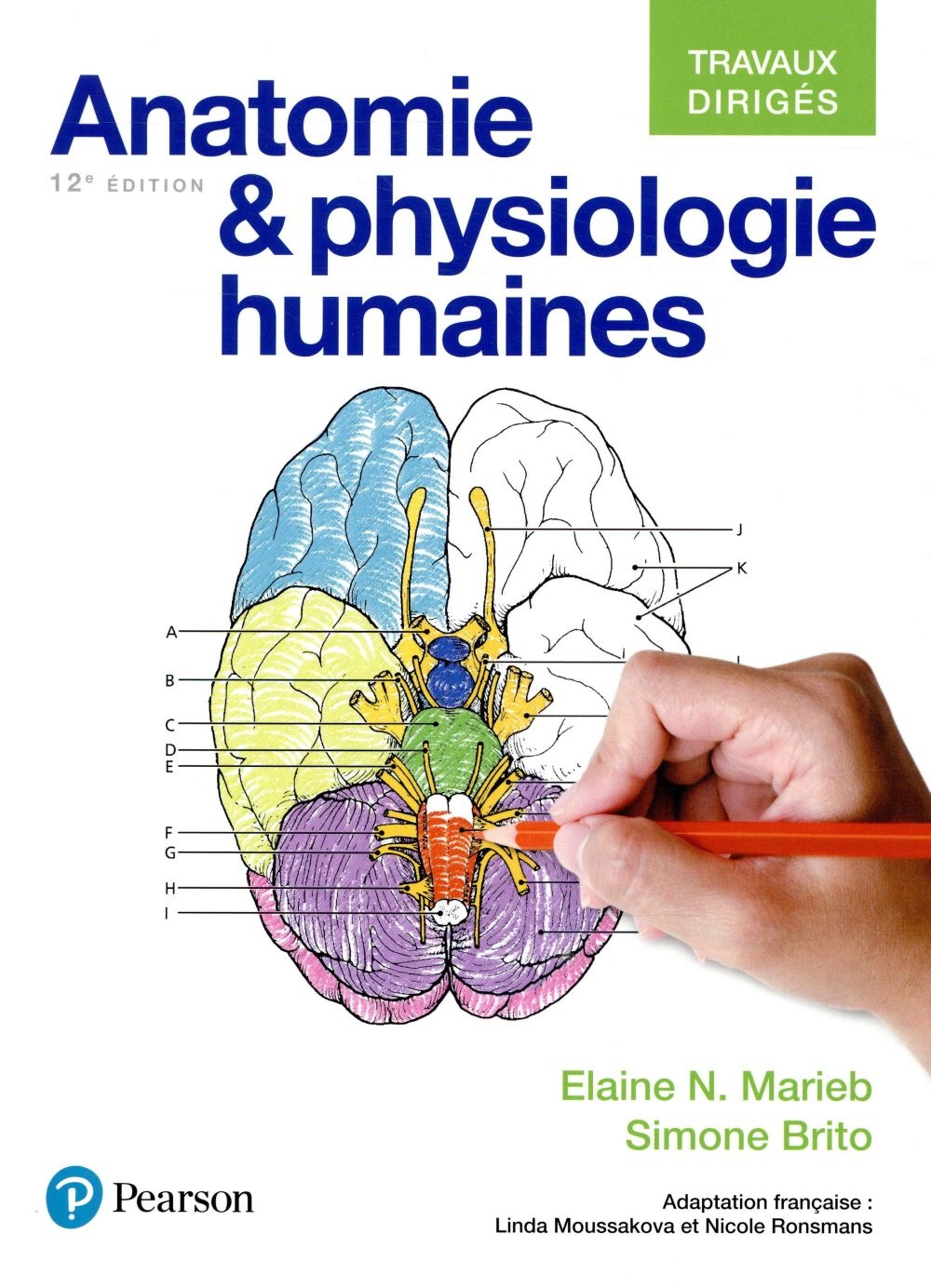 Anatomie et physiologie humaines 12e édition : Travaux dirigés