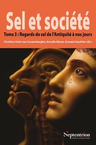 Sel et société Tome 3: Regards de sel de l'Antiquité à nos jours