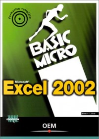 Excel 2002