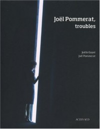 Joël Pommerat, troubles