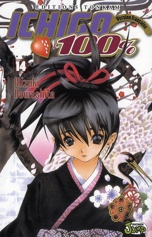 Ichigo 100% Vol.14