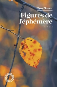 Figures de l'éphémère