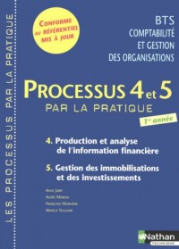 Processus 4 et 5 par la pratique BTS CGO 1e année : Production et analyse de l'information financière Gestion des immobilisations et des investissements