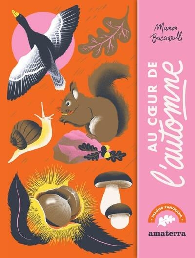 Au c ur de l'automne