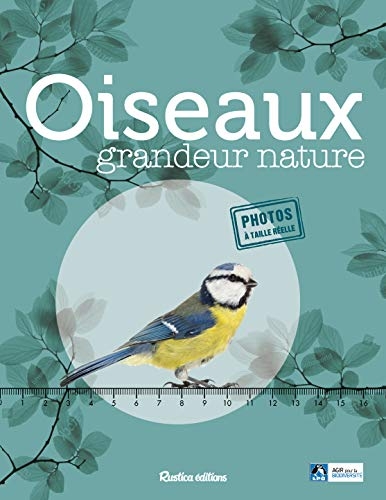 Oiseaux grandeur nature. Identifier facilement les oiseaux du jardin !