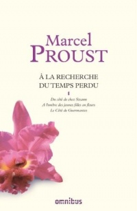 A la recherche du temps perdu, tome 1 (1)