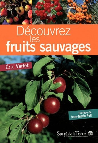 Decouvrez les fruits sauvages