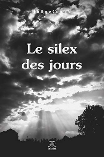 Le silex des jours