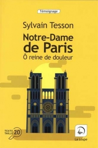 Notre-Dame de Paris : Ô reine de douleur