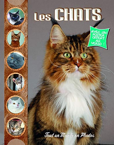 Les chats : Tout un monde en photos