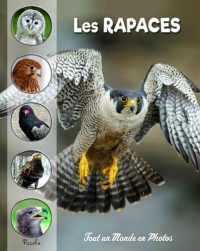 Les rapaces