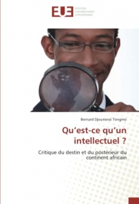 Qu’est-ce qu’un intellectuel ?: Critique du destin et du postérieur du continent africain