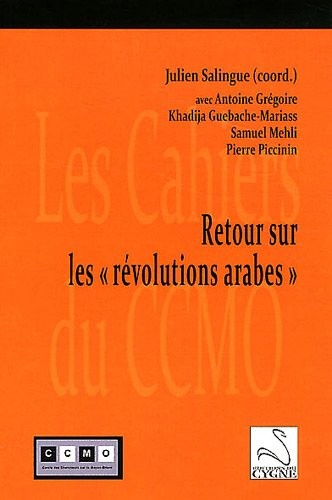 Retour sur les révolutions arabes