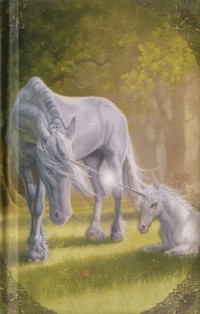 Note-Book 9x14 Chevaux merveilleux