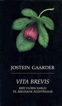 Vita Brevis (Icelandic Edition)