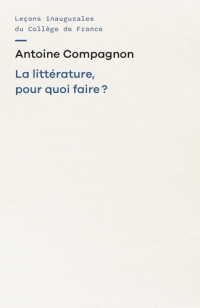 La litterature, pour quoi faire ?