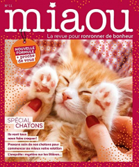Miaou N 11 - Special Chatons