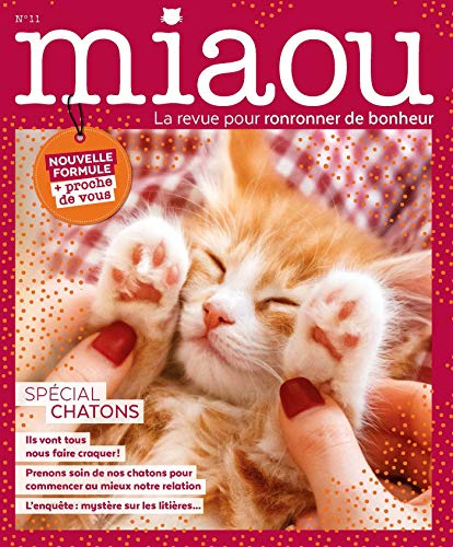 Miaou N 11 - Special Chatons