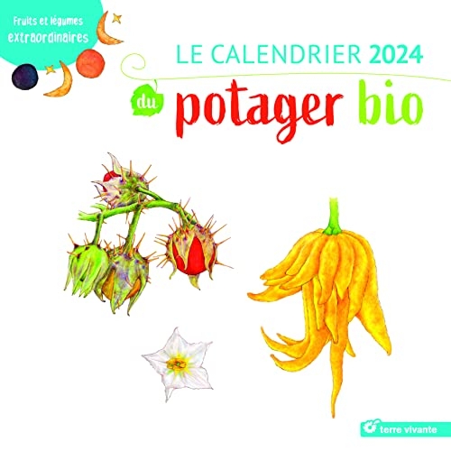 Le calendrier 2024 du potager bio: Fruits et légumes extraordinaires