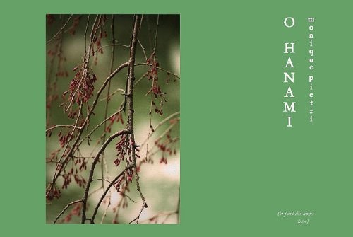 O hanami (la contemplation des cerisiers en fleur)