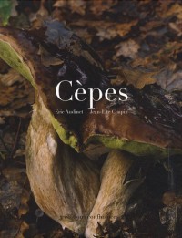 Cèpes