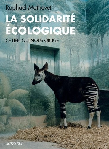 La solidarité écologique : Ce lien qui nous oblige