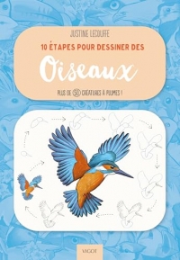 10 étapes pour dessiner des oiseaux