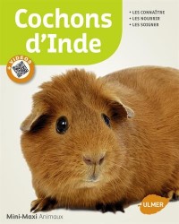 Cochons d'Inde