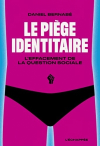 Le piege identitaire - l effacement de la question sociale