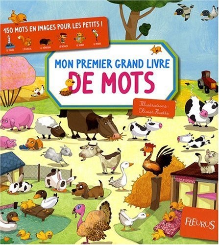 Mon premier grand livre de mots