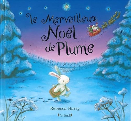 Le merveilleux Noël de Plume – Album jeunesse avec effet argenté – À partir de 3 ans