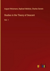 Studies in the Theory of Descent: Vol. 1