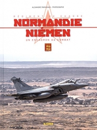 Régiment de chasse Normandie-Niémen : Un escadron au combat