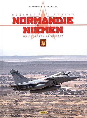 Régiment de chasse Normandie-Niémen : Un escadron au combat