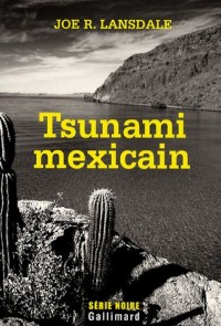 Tsunami mexicain: Une enquête de Hap Collins et Leonard Pine