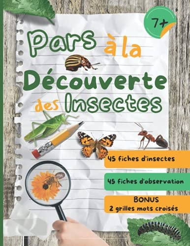 Pars La D Couverte Des Insectes Cahier Dobservation Et Activit S