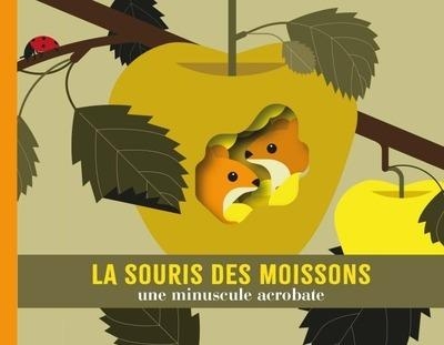 La souris des moissons. une minuscule acrobate: une minuscule acrobate