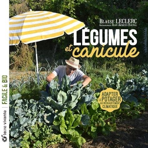 Légumes et canicule: Adapter le potager au réchauffement climatique