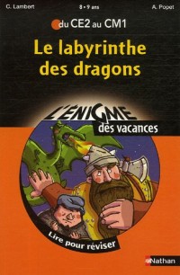 ENIGME VAC CE2 AU CM1 LABYRINT