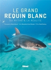 Le grand requin blanc: Du mythe à la réalité