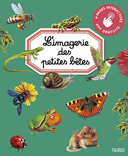 L'imagerie des petites bêtes (interactive)
