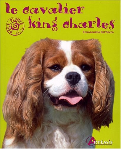 Cavalier King Charles