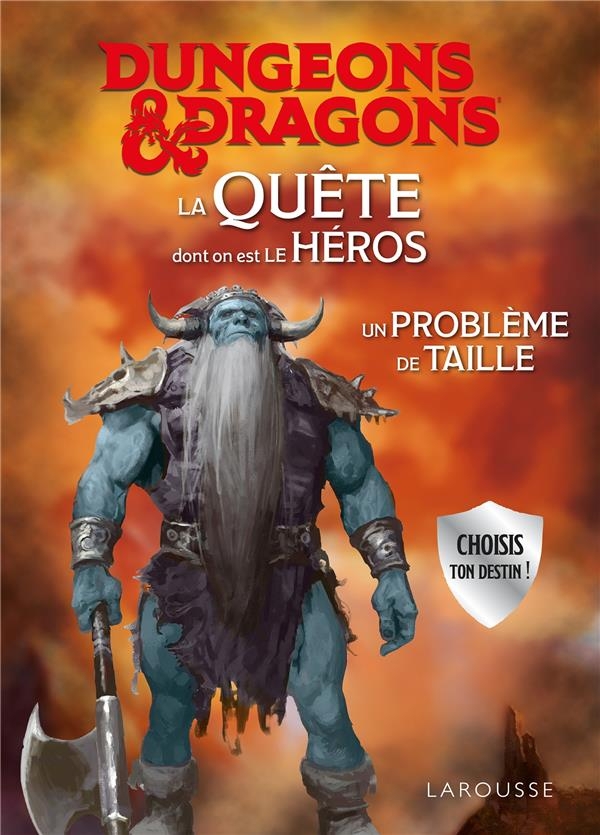 DUNGEONS & DRAGONS La Quête dont tu es la magicienne - Un problème de taille