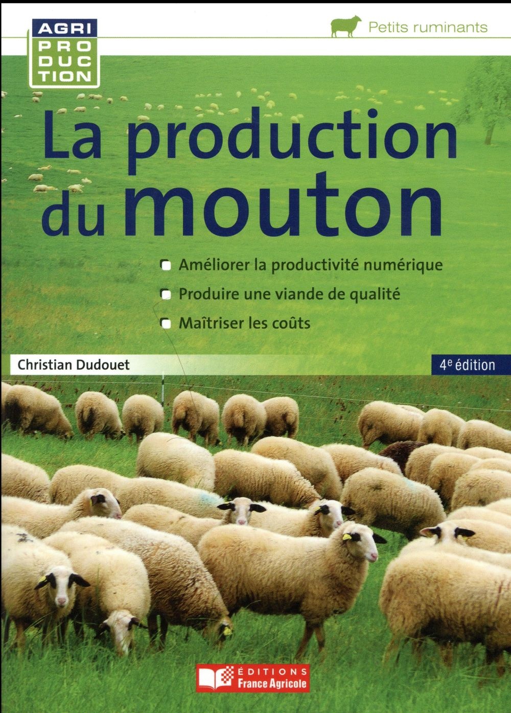 La production du mouton