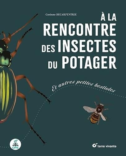 A la rencontre des insectes du potager: Et autres petites bestioles
