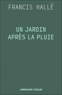Un jardin après la pluie