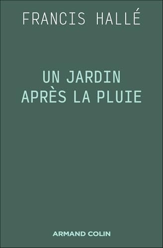 Un jardin après la pluie