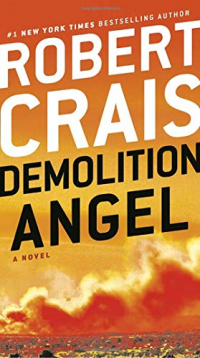 Demolition Angel: A Novel